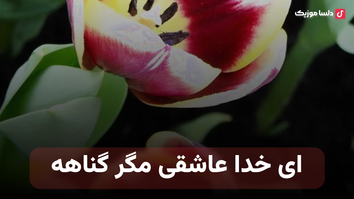 ای خدا عاشقی مگر گناهه صدای زن هوش مصنوعی